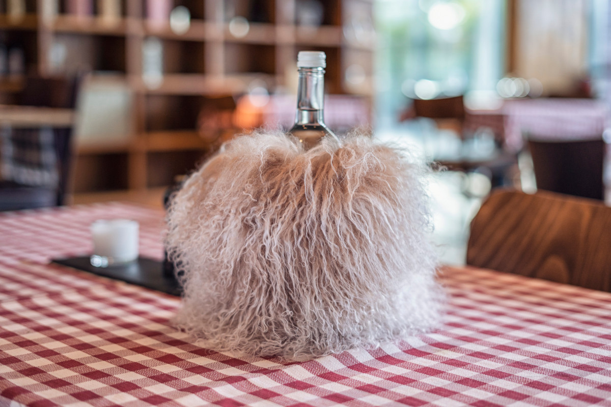 Qult Farluce Accessoires